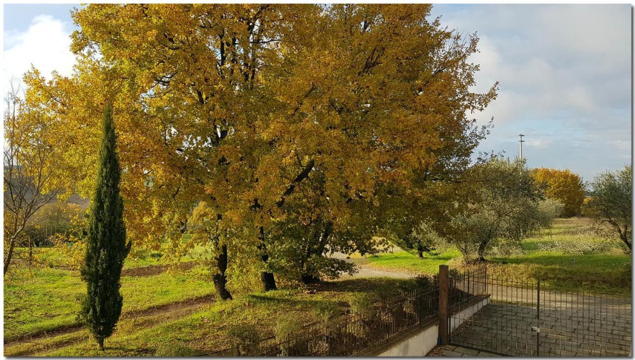 Villino Cortona - Casa Vacanze A Cortona Con Piscina Privata Wifi, Ac - Toscana - Nelle Vicinanze Perugia, Assisi, Montepulciano, Pienza, Siena Luaran gambar