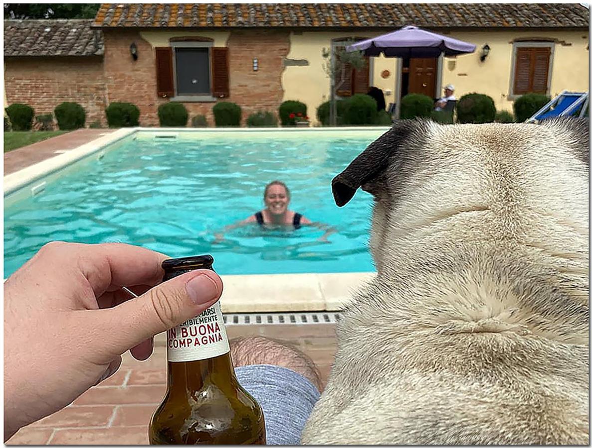 Villino Cortona - Casa Vacanze A Cortona Con Piscina Privata Wifi, Ac - Toscana - Nelle Vicinanze Perugia, Assisi, Montepulciano, Pienza, Siena Luaran gambar